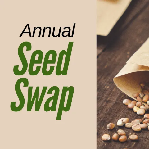 tan square with black and green text "annual seed swap" beside photo of seed packet spilling